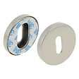 CHRISLIGNE - 2 rosaces adh d.52 cle acier nickel satine mat - vignette