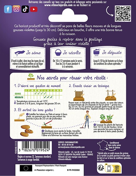 VILMORIN - Haricot violet sans fil Mélissa Vilmorin 5M - large