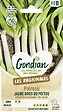 VILMORIN - Poireau jaune gros du Poitou Gondian - vignette