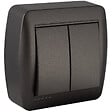 SOLERA - Double interrupteur va et vient en saillie - Noir graphite - Solera - vignette