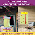 ACTO - Piege a glu mouches xxl en rouleau - vignette