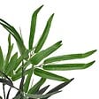 VIDAXL - vidaXL Bambou artificiel avec pot 80 cm - vignette