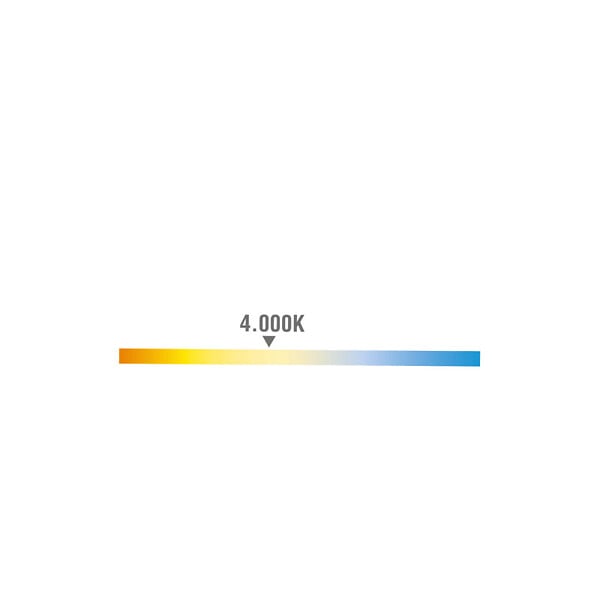 EDM - Applique murale LED 3W – Carré – 237lm – 4000K – IP54 – 2 projections - large