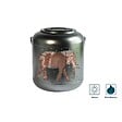 ORIUM - Lanterne métal solaire Jungle 18cm - Orium - vignette