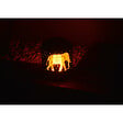 ORIUM - Lanterne métal solaire Jungle 18cm - Orium - vignette
