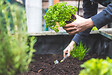 JARDIBEST - Terreau horticole - 70L - vignette