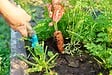 JARDIBEST - Terreau horticole - 70L - vignette