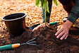 JARDIBEST - Terreau plantation - 40L - vignette
