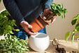 JARDIBEST - Terreau rempotage - 5L - vignette