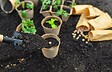 JARDIBEST - Terreau semis et bouturage - 20L - vignette