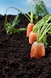 JARDIBEST - Terreau universel - 20L - vignette