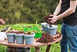 JARDIBEST - Terreau rempotage - 20L - vignette