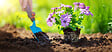JARDIBEST - Terreau universel - 40L - vignette