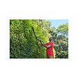 RYOBI - Taille-haies 36V RYOBI - Lame 60cm - Batterie 2,0Ah - Chargeur - RY36HT60A-120 - vignette