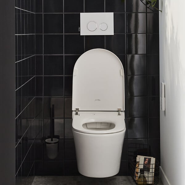 JACOB DELAFON - WC lavant sans bride Seine avec télécommande + abattant - large