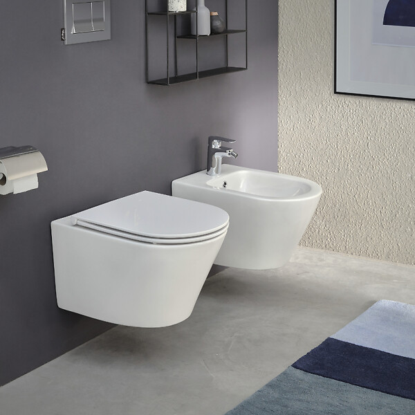JACOB DELAFON - Cuvette WC suspendu sans bride Rodin+ avec abattant - large