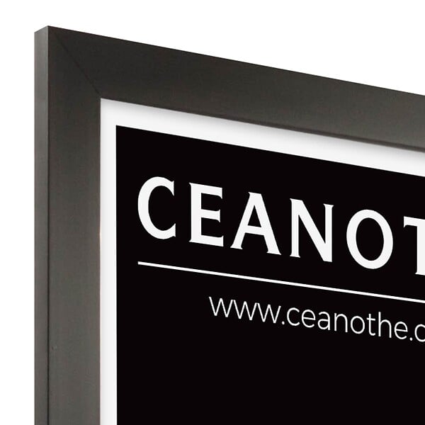 CEANOTHE - Cadre Eternel - Noir - 50x70cm - large