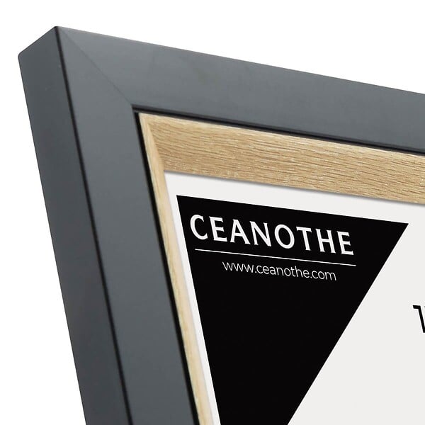 CEANOTHE - Cadre photo Actual bois noir 13x18 cm - large
