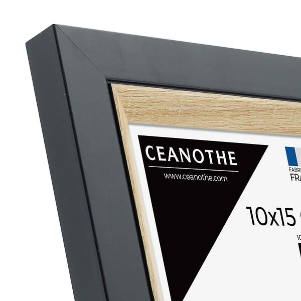CEANOTHE - Cadre photo Actual bois noir 10x15 cm - large