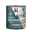 V33 PEINTURE - Peinture sol Climats Extrêmes® anthracite 2,5 litres - vignette