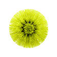 RYOBI - Brosse souple multi-surfaces pour nettoyeur 4V RSCR4 RYOBI - 110mm - RACLRM110 - vignette