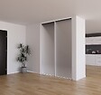 YNGENIO - Porte de placard Miroir Profil blanc H248.5xL92.2cm - vignette
