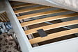 KPRO - Plaquettes punaises de lit x4 - vignette