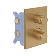 VILLEROY ET BOCH - Façade thermostatique 2 voies  Universal rectangle Or brossé + corps encastré - vignette