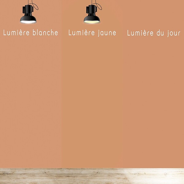99DECO - Peinture Mur Velours - Rouge Ocre - Interieur - 2,5l - large