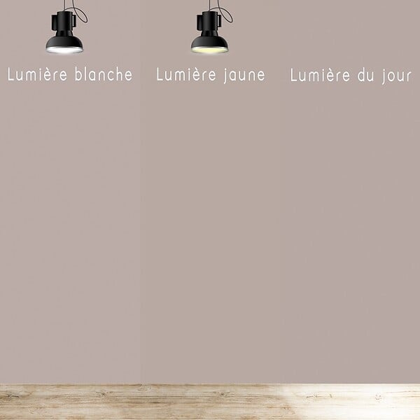99DECO - Peinture Mur Velours - Taupe Brun - Interieur - 1l - large
