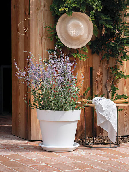 DEROMA - Soucoupe Day R Bianco 18cm - large