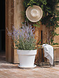 DEROMA - Soucoupe Day R Bianco 18cm - vignette