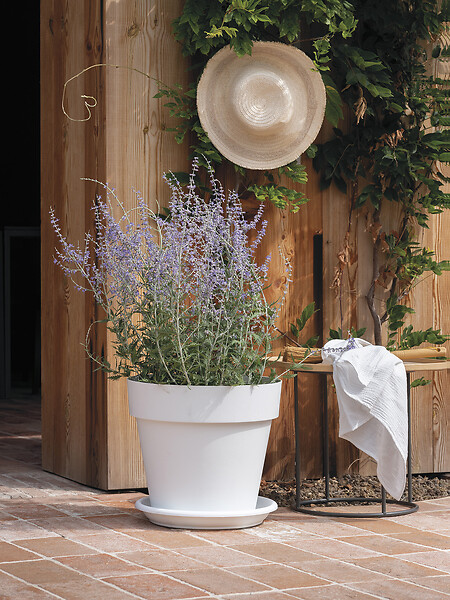DEROMA - Soucoupe Day R Bianco 30cm - large