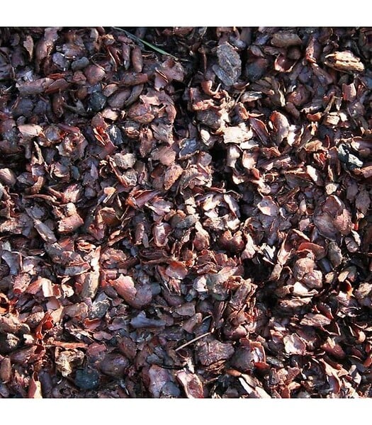 RACINE - Fertilisant naturel en coque de cacao - sac de 100 litres pour 3m² - large