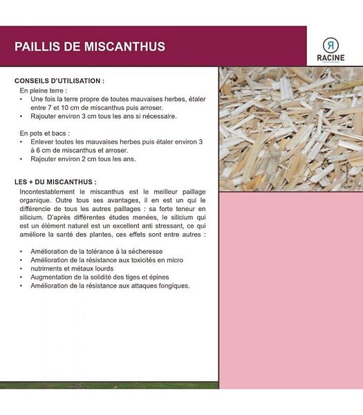 RACINE - Paillis de miscanthus pour retenir l'eau - balle de 150 litres pour 4m² - large