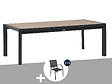 HESPERIDE - Table de jardin rectangulaire extensible alu Evasion 8/10 places effet bois + 10 fauteuils Piazza - Hespéride - vignette