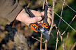 BAHCO - Sécateur ergo rot. taille m-3 BAHCO - PXR-M3 - vignette