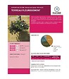 RACINE - Terreau engrais fleurissement 48 sacs 50 l plantes vivaces et annuelles - vignette