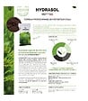 RACINE - Terreau professionnel bio rétenteur d'eau Hydrasol 10 sacs 40 litres RACINE PRO154-10x40 - vignette