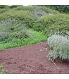 RACINE - Paillage minéral en pouzzolane rouge 7/15 Big bag 1 m3 pour 20m2 - vignette