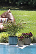 DEROMA - Pot Capri 17cm - vignette