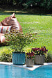 DEROMA - Pot Capri 28cm - vignette