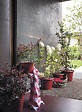 DEROMA - Cilindro Day R Rosso 40cm - vignette