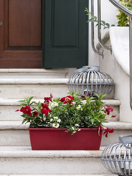 DEROMA - Jardinière Day R Rosso 50cm - large