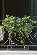 DEROMA - Kit Jardinière Save R Lichen à rés. d'eau 49cm - vignette