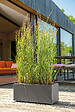 DEROMA - Muret Millennium R Anthracite à réserve d'eau 59cm - vignette