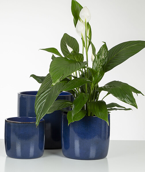 SCHEURICH - Cache-Pot 900 Mystic Blue 24cm - large
