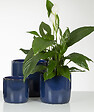 SCHEURICH - Cache-Pot 900 Mystic Blue 24cm - vignette