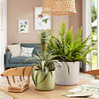 SCHEURICH - Cache-Pot 850 Soft Wool 17cm - vignette
