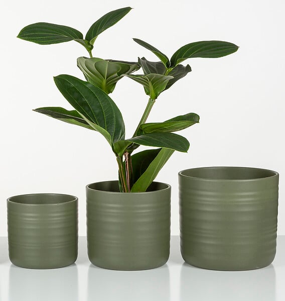 SCHEURICH - Cache-Pot 850 Forest Green 14cm - large